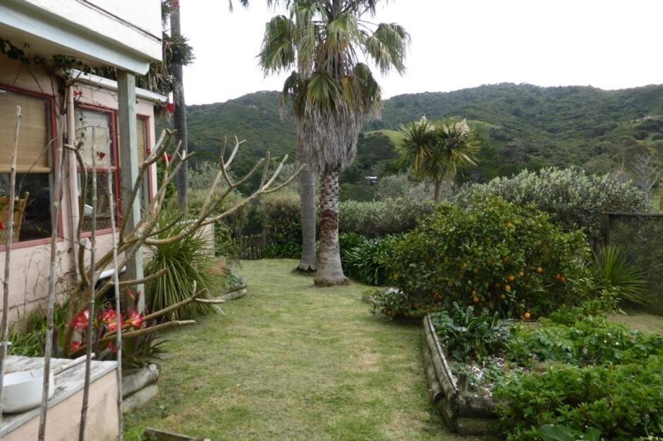 Great Barrier Oasis Lodge Tryphena Zewnętrze zdjęcie
